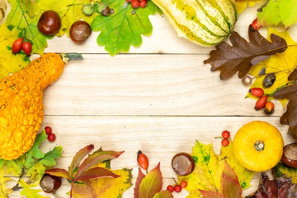 Esdoorn Blad Herfst Natuurlijke Oogst Met Sinaasappelpompoen Herfst Gedroogde Bladeren — Stockfoto