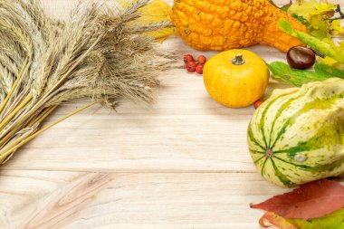 Sonbahar yatağı. Buğday taneli doğal hasat portakal kabağı, kurumuş yapraklar, kırmızı böğürtlen ve meşe palamudu, ahşap arka planda kestaneler. Sonbahar, sonbahar, Şükran Günü konsepti