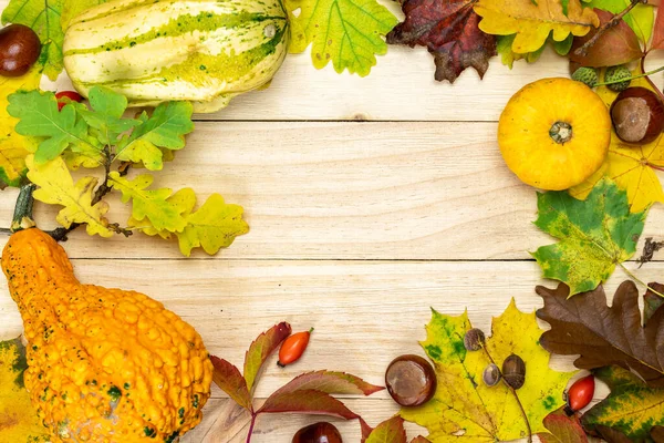 Thanksgiving Achtergrond Herfst Natuurlijke Oogst Met Sinaasappelpompoen Herfst Gedroogde Bladeren — Stockfoto