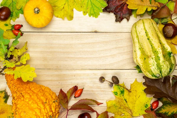 Herfstcompositie Natuurlijke Oogst Met Sinaasappelpompoen Herfst Gedroogde Bladeren Rode Bessen — Stockfoto