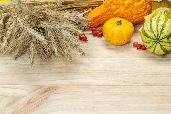 Erntedankdinner Herbst Natürliche Ernte Mit Roggen Orangenkürbis Herbst Getrockneten Blättern — Stockfoto