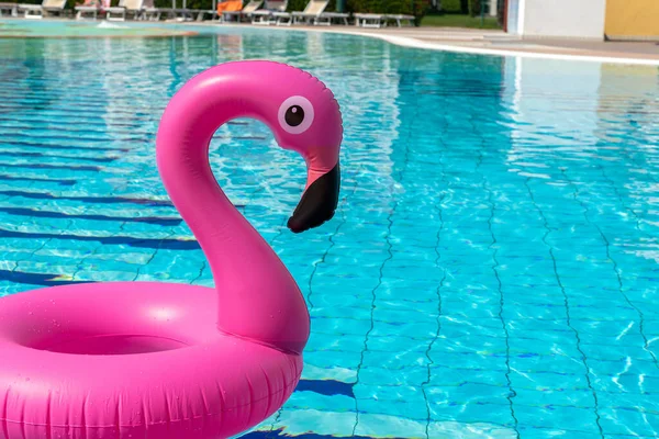 Летний Концептуальный Фон Розовый Фламинго Воде Бассейна Летнего Пляжного Фона — стоковое фото