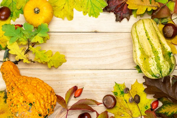 Herfst Blad Textuur Natuurlijke Oogst Met Sinaasappelpompoen Herfst Gedroogde Bladeren — Stockfoto