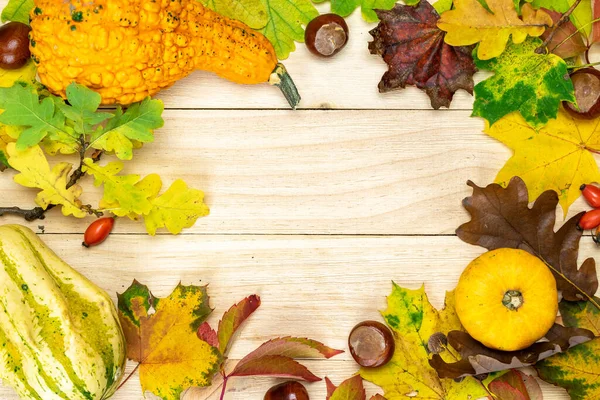 Herfst Plat Gelegd Natuurlijke Oogst Met Sinaasappelpompoen Herfst Gedroogde Bladeren — Stockfoto