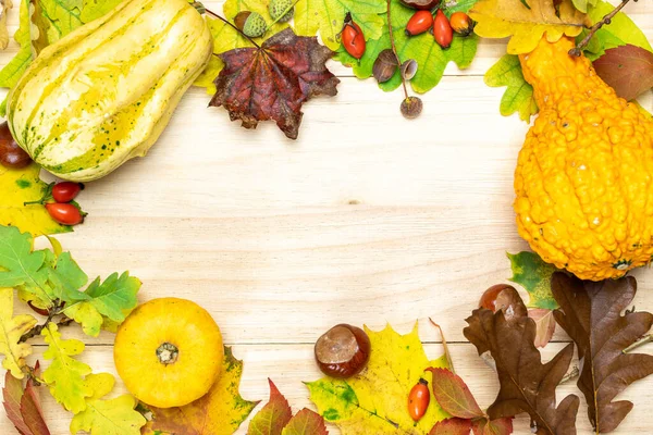 Blätterherbst Natürliche Ernte Mit Orangefarbenem Kürbis Herbstlich Getrockneten Blättern Roten — Stockfoto