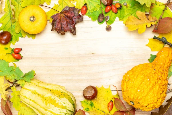 Maple leaf autumn. Natural harvest with orange pumpkin, fall dried leaves, red berries and acorns, chestnuts on wooden background in shape frame. Beauty Holiday autumn festival concept. Fall scene