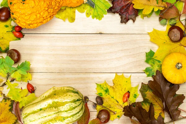 Thanksgiving Achtergrond Herfst Natuurlijke Oogst Met Sinaasappelpompoen Herfst Gedroogde Bladeren — Stockfoto