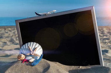 Yaz dönemi geçmişi. Deniz yıldızı, deniz kabukları, oyuncak uçak ve karatahtanın yanındaki okyanus doğası plajı. Yaz tatili konsepti tasarımı