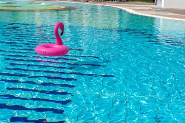 Yaz konsepti geçmişi. Yaz mevsimi için havuz suyunda şişirilebilir pembe flamingo. Havuz havuzu partisi