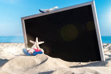 Yaz sahili. Deniz yıldızı, deniz kabukları, oyuncak uçak ve karatahtanın yanındaki okyanus doğası plajı. Kopyalama alanı olan sakin sahil sahnesi