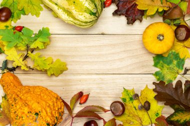 Cadılar Bayramı balkabakları. Turuncu kabaklı doğal hasat, kurumuş yapraklar, kırmızı böğürtlen ve meşe palamudu, şekil olarak ahşap arka planda kestaneler. Yaratıcı Üst Görünüm düz sonbahar kompozisyonu