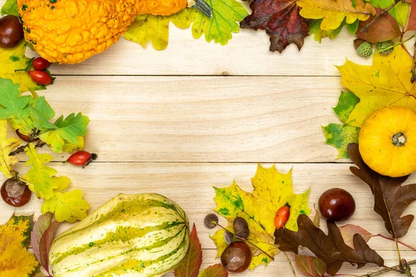 Erntedankfest Herbsternte Mit Orangefarbenem Kürbis Herbstlich Getrockneten Blättern Roten Beeren — Stockfoto