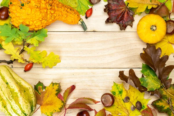 Gezellig Herfstseizoen Herfst Natuurlijke Oogst Met Sinaasappelpompoen Herfst Gedroogde Bladeren — Stockfoto