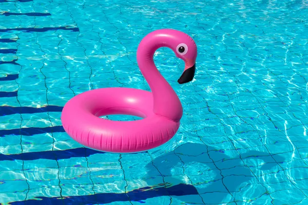 Helló Nyár Rózsaszín Felfújható Flamingó Medencében Víz Nyári Strand Háttér — Stock Fotó