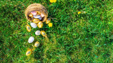 Yumurtalı Paskalya sepeti. Sarı bahar çiçekli altın yumurta yeşil çimen arka planda kutlama sepetinde. Paskalya dekorasyonu, folyo minimalist yumurta tasarımı, modern tasarım şablonu