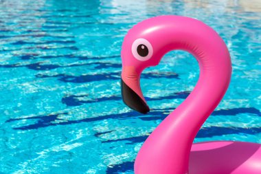 Yaz indirimi. Yaz mevsimi için havuz suyunda şişirilebilir pembe flamingo. Asgari yaz konsepti