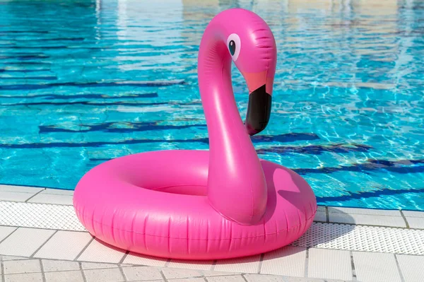 Diversión Verano Aislado Flamenco Inflable Rosa Agua Piscina Para Fondo — Foto de Stock