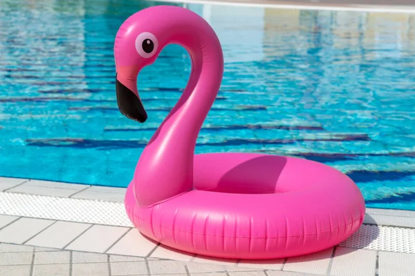 Flamingo Aislado Flamenco Inflable Rosa Agua Piscina Para Fondo Playa — Foto de Stock