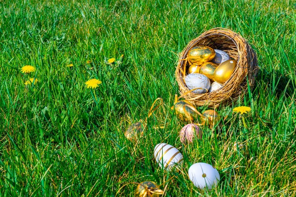 Easter Basket Bunny Golden Egg Yellow Spring Flowers Celebration Basket — Stock Photo, Image