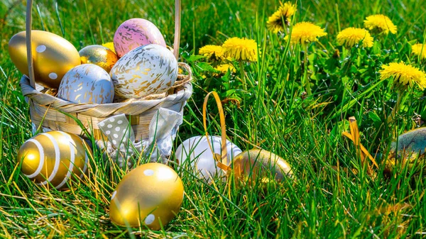 Zajączek Wielkanocny Złote Jajko Żółtymi Wiosennymi Kwiatami Koszu Zielonym Tle — Zdjęcie stockowe