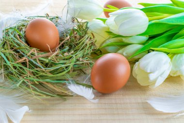 Yumurta rengi. Mutlu Paskalya süslemeleri: sepetteki doğal renkli yumurtalar, bahar laleleri, ahşap masa arkasında beyaz tüyler. Folyo minimalist yumurta tasarımı, modern tasarım şablonu