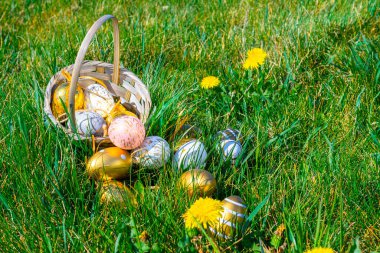 Paskalya yumurtası. Sarı bahar çiçekli altın yumurta yeşil çimlerin üzerinde kutlama sepeti. Paskalya dekorasyonu, folyo minimalist yumurta tasarımı, modern tasarım şablonu