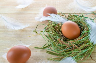 Paskalya sembolü. Bahar laleleri ile sepetin içinde doğal renginde yumurtalar, Mutlu Paskalya süslemelerinde ahşap masa zemininde beyaz tüyler. Tebrikler Paskalya Tasarımı