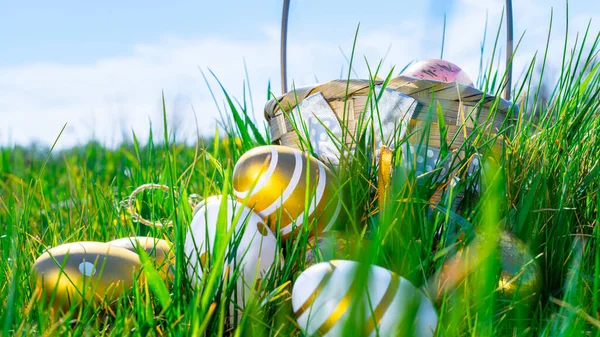 Easter Eggs Bunny Golden Egg Yellow Spring Flowers Celebration Basket — Stock Photo, Image