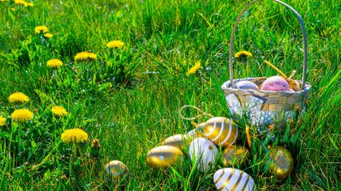 Paskalya sepeti. Sarı bahar çiçekli altın yumurta yeşil çimen arka planda kutlama sepetinde. Tebrikler Paskalya Tasarımı