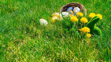 Paskalya tavşanı. Sarı bahar çiçekli altın yumurta yeşil çimen arka planda kutlama sepetinde. Mutlu Paskalyalar.