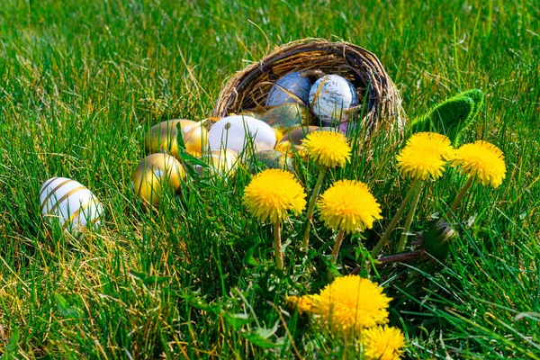 Pisanki Wielkanocne Złote Jajko Żółtymi Wiosennymi Kwiatami Koszu Zielonym Tle — Zdjęcie stockowe