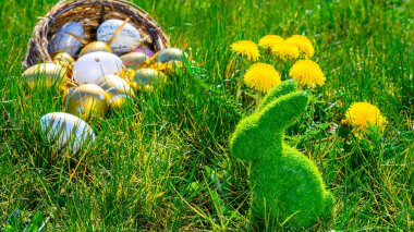 Paskalya geçmişi. Sarı bahar çiçekli altın yumurta yeşil çimlerin üzerinde kutlama sepeti. Paskalya avı konsepti