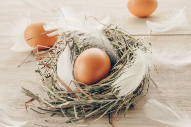 Paskalya yumurtaları sepetin içinde bahar laleleri, ahşap masa arkasında beyaz tüyler Mutlu Paskalya süslemeleri. Şenlikli dekorasyon