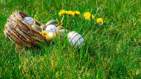 Tło Wielkanocne Złote Jajko Żółtymi Wiosennymi Kwiatami Koszyku Zielonej Trawie — Zdjęcie stockowe