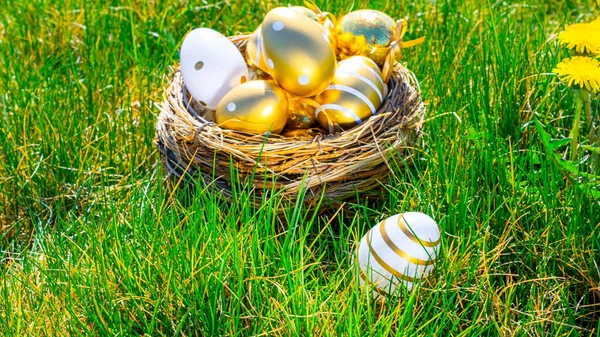 Πασχαλινό Κουνέλι Χρυσό Αυγό Κίτρινα Ανοιξιάτικα Λουλούδια Στο Καλάθι Εορτασμών — Φωτογραφία Αρχείου