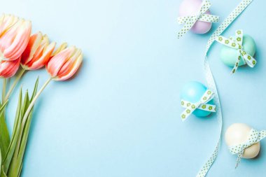 Paskalya altını. Şerit kurdeleli renkli yumurta, bahar laleleri, Mutlu Paskalya dekorasyonunda pastel mavisi arka planda tüyler. Üst görünümde geleneksel tasarım