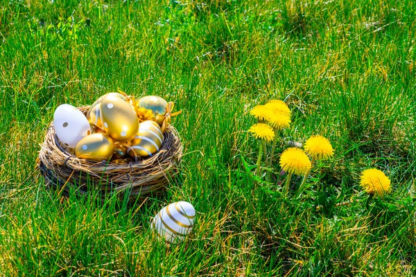Tło Wielkanocne Złote Jajko Żółtymi Wiosennymi Kwiatami Koszyku Zielonej Trawie — Zdjęcie stockowe