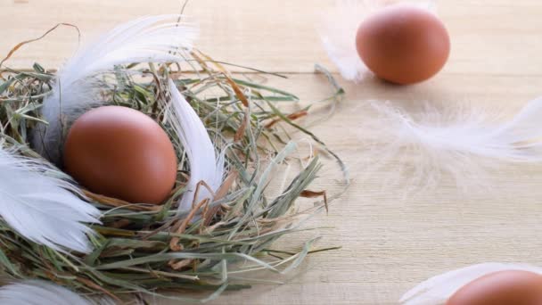 Simbolo Pasquale Uova Colore Naturale Cesto Con Tulipani Primaverili Piume — Video Stock