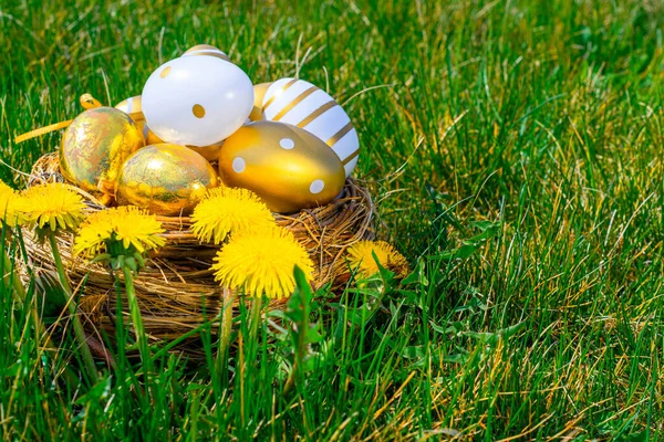Wielkanoc Tło Białe Złote Jajko Żółtymi Wiosennymi Kwiatami Koszyku Zielonej — Zdjęcie stockowe