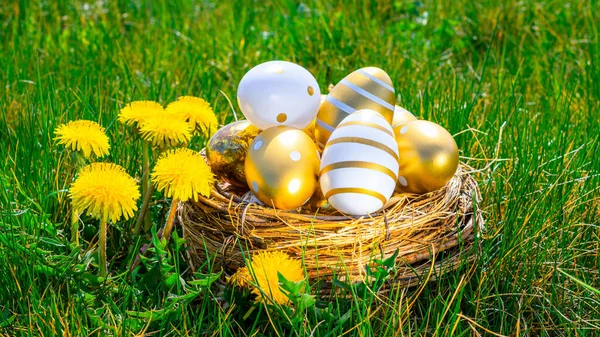 Pisanki Wielkanocne Złote Jajko Żółtymi Wiosennymi Kwiatami Koszu Zielonym Tle — Zdjęcie stockowe
