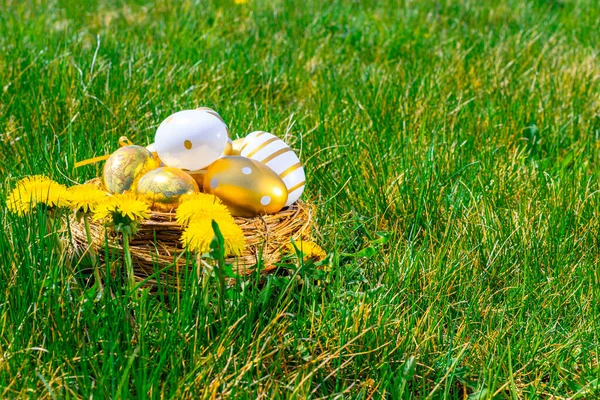 Tło Pisanki Złote Jajko Żółtymi Wiosennymi Kwiatami Koszyku Zielonej Trawie — Zdjęcie stockowe