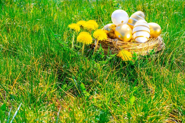 Yumurtalı Paskalya sepeti. Sarı bahar çiçekli altın yumurta yeşil çimen arka planda kutlama sepetinde. Paskalya dekorasyonu, folyo minimalist yumurta tasarımı, modern tasarım şablonu