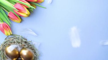 Bahar laleli altın yumurtalar pastel mavi arka planda beyaz tüyler Mutlu Paskalya süslemeleri. Folyo minimalist yumurta tasarımı, modern üst görünüm tasarımı