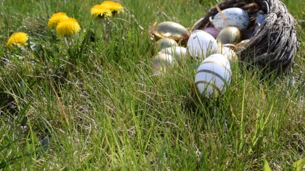 Oeufs Panier Pâques Œuf Doré Avec Des Fleurs Jaunes Printemps — Video