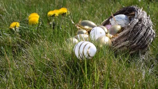 Chasse Aux Œufs Pâques Œuf Doré Avec Des Fleurs Jaunes — Video