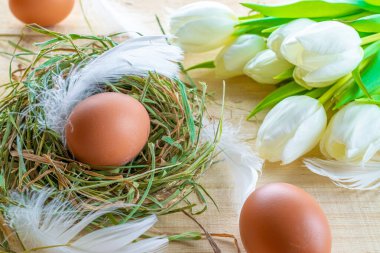 Yumurta rengi. Mutlu Paskalya süslemeleri: sepetteki doğal renkli yumurtalar, bahar laleleri, ahşap masa arkasında beyaz tüyler. Folyo minimalist yumurta tasarımı, modern tasarım şablonu