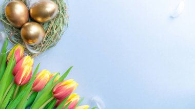 Paskalya yumurtası. Mutlu Paskalya süslemeleri: Pastel mavi arka planda beyaz tüylü altın yumurtalar. Geleneksel güneş ışığı dekorasyonu. Üst görünüm