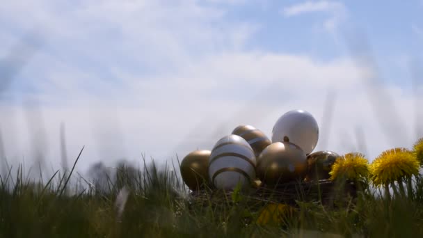 Easter Rabbit Golden Egg Yellow Spring Flowers Celebration Basket Green — Stock Video