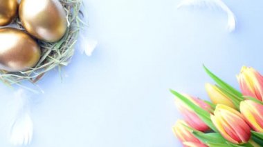 Bahar laleli altın yumurtalar pastel mavi arka planda beyaz tüyler Mutlu Paskalya süslemeleri. Folyo minimalist yumurta tasarımı, modern üst görünüm tasarımı