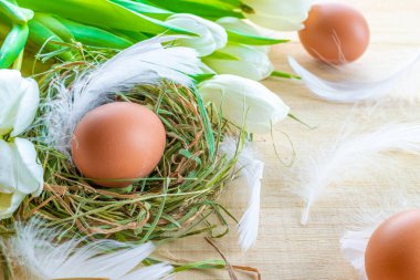 Paskalya yumurtaları doğa. Bahar laleleri ile sepette doğal renkte yumurta, Mutlu Paskalya dekorasyonunda ahşap masa arkasında beyaz tüyler. Tebrikler Paskalya Tasarımı